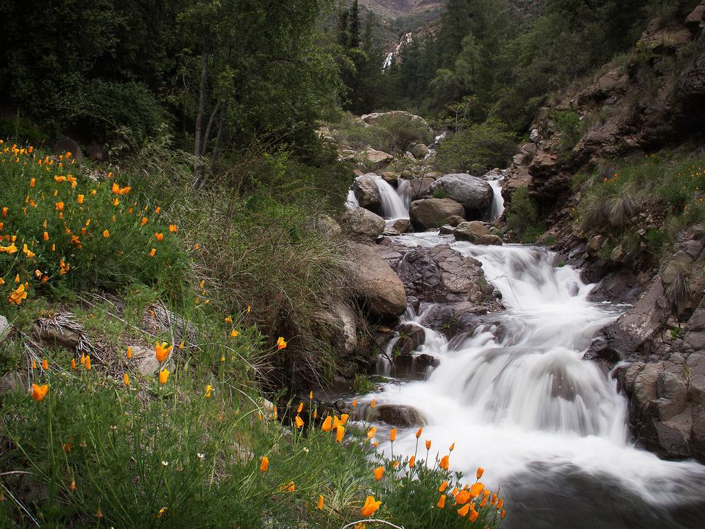 Cascada De Las Animas San Alfonso Exteriör bild